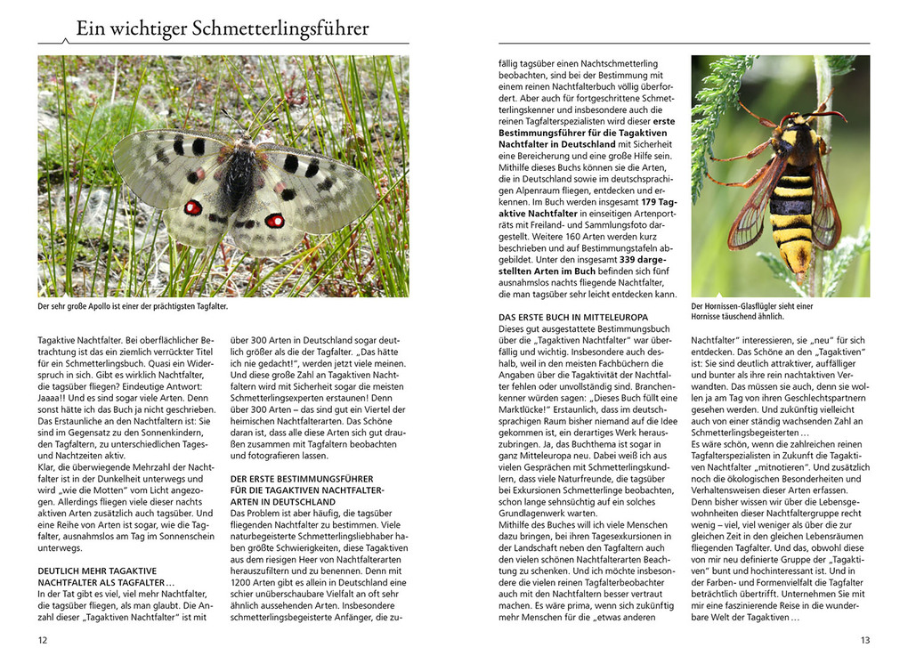 Weitere Ansicht: Tagaktive Nachtfalter | Rainer Ulrich