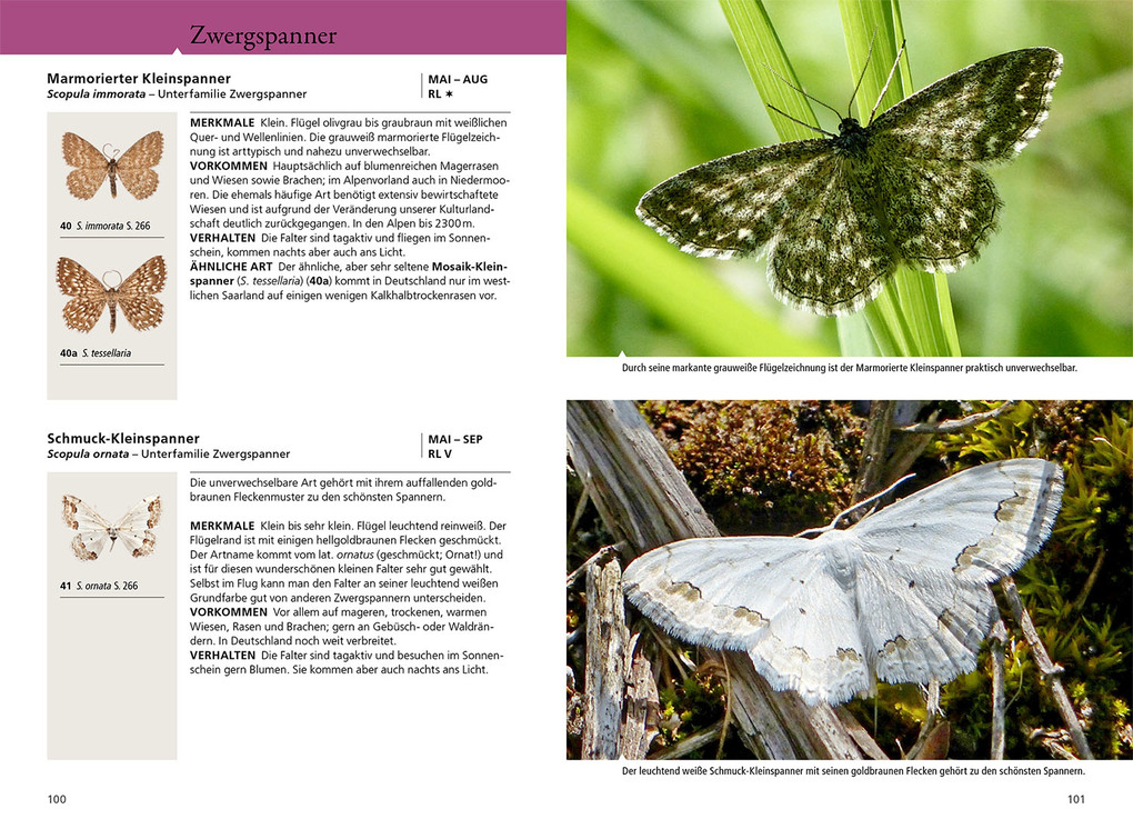 Weitere Ansicht: Tagaktive Nachtfalter | Rainer Ulrich