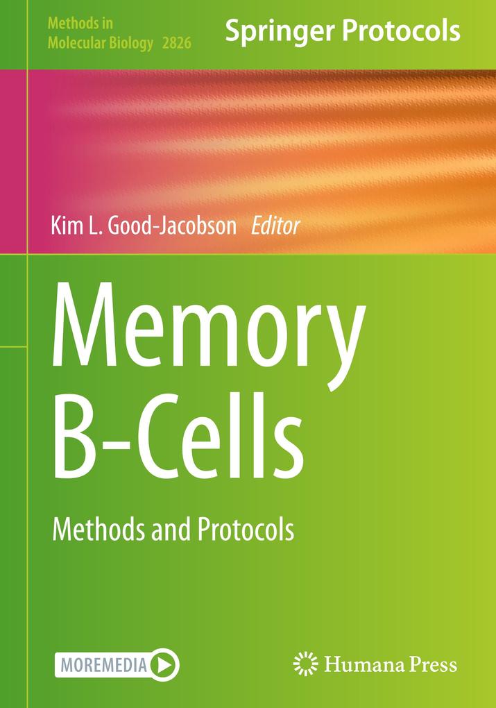 Produktbild: Memory B-Cells