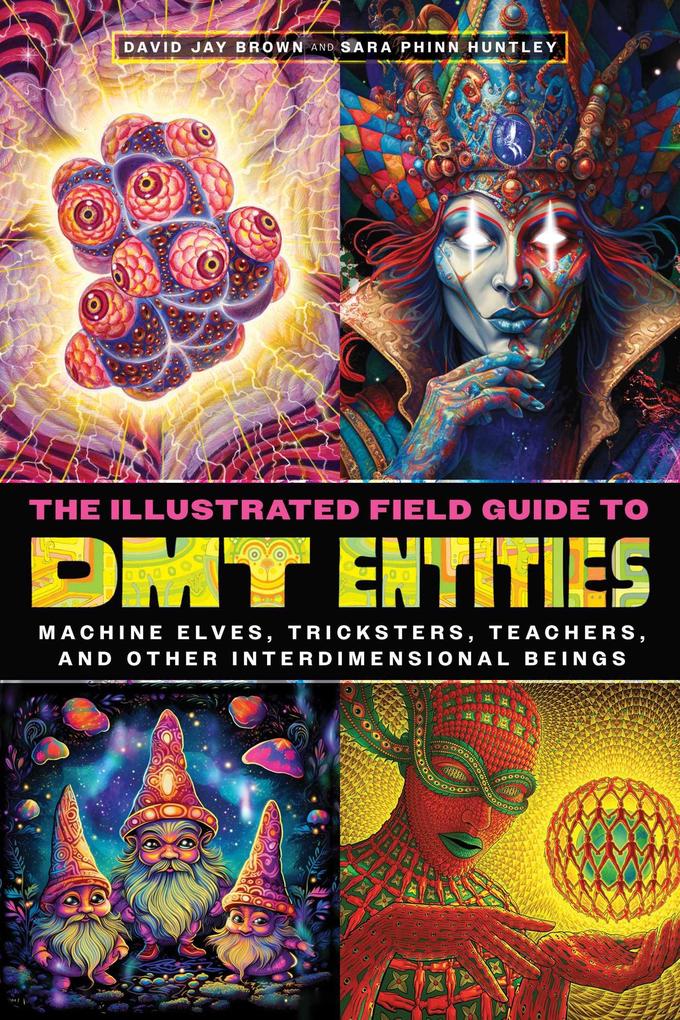 Produktbild: The Illustrated Field Guide to Dmt Entities | David Jay Brown, Sara Phinn Huntley