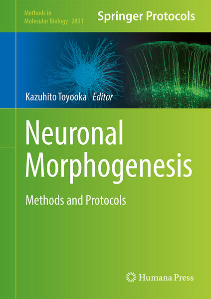 Produktbild: Neuronal Morphogenesis
