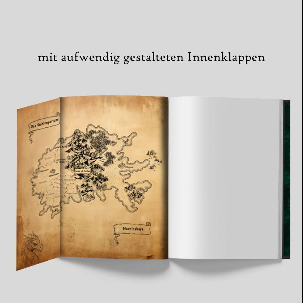 Weitere Ansicht: Dragon Games - Flügel aus Stahl | Ursa Jaumann