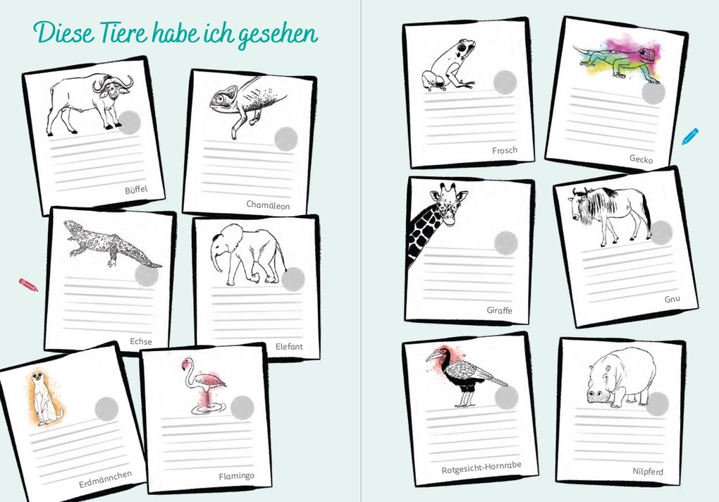 Weitere Ansicht: Südafrika for kids | Britta Schmidt von Groeling