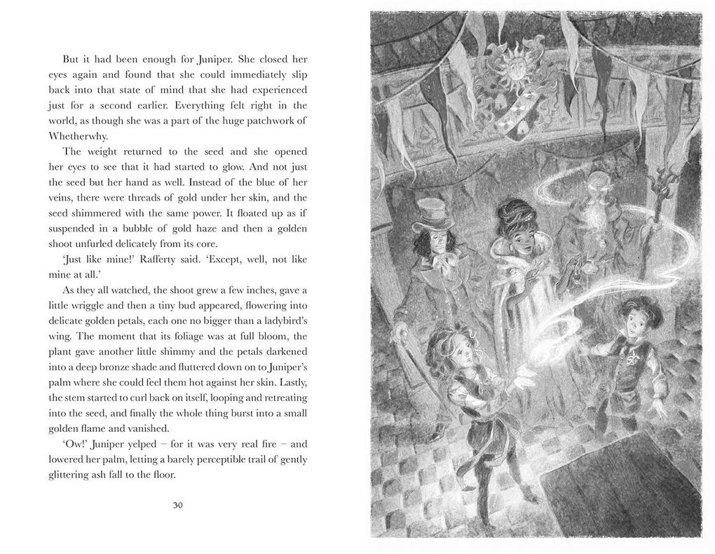 Weitere Ansicht: Chronicles of Whetherwhy: The Age of Enchantment | Anna James
