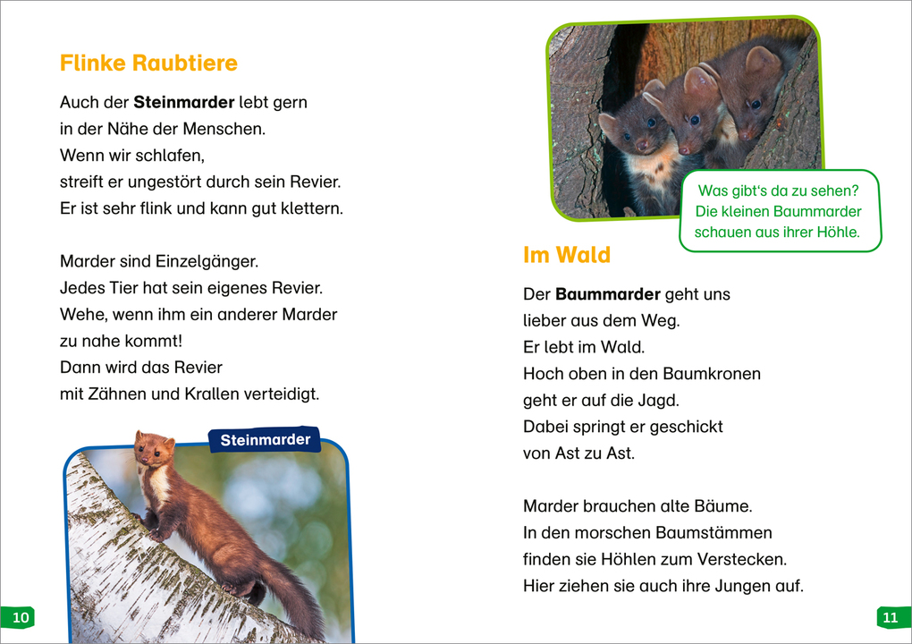 Weitere Ansicht: WAS IST WAS Erstes Lesen easy! Band 17. Tiere in der Nacht | Sonja Meierjürgen