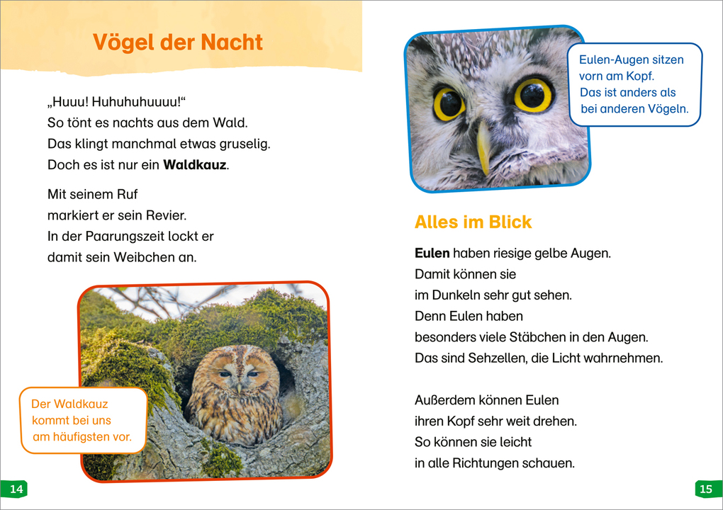 Weitere Ansicht: WAS IST WAS Erstes Lesen easy! Band 17. Tiere in der Nacht | Sonja Meierjürgen