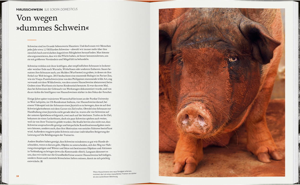 Weitere Ansicht: Was Tiere denken | Marianne Taylor