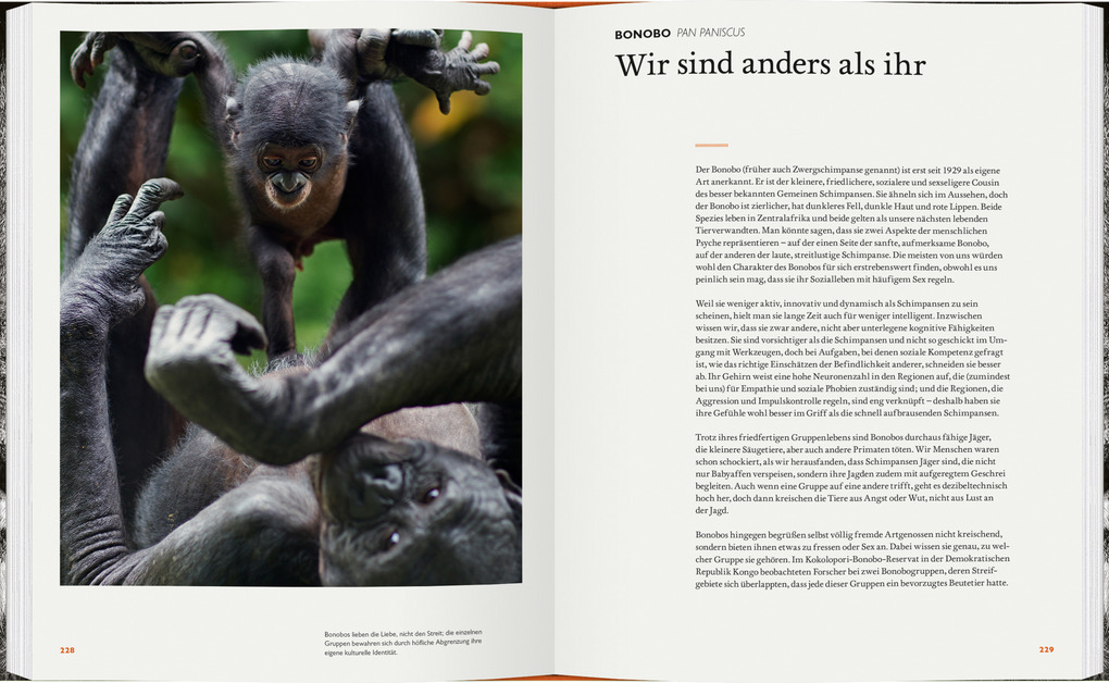 Weitere Ansicht: Was Tiere denken | Marianne Taylor