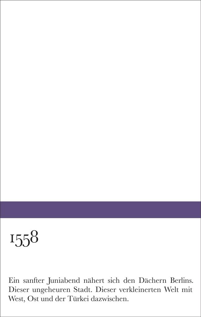 Weitere Ansicht: Suche nach den Spuren eines Selbstmordes | Tezer Özlü