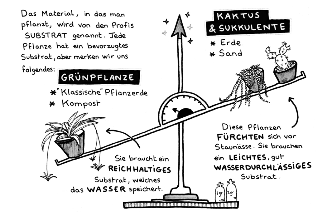 Weitere Ansicht: Plants for free | Juliette Patissier