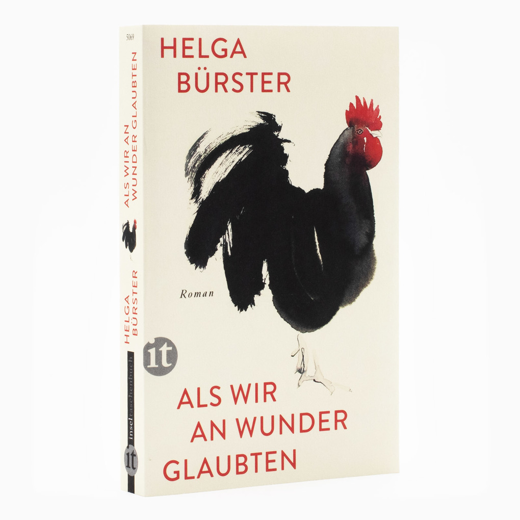 Weitere Ansicht: Als wir an Wunder glaubten | Helga Bürster
