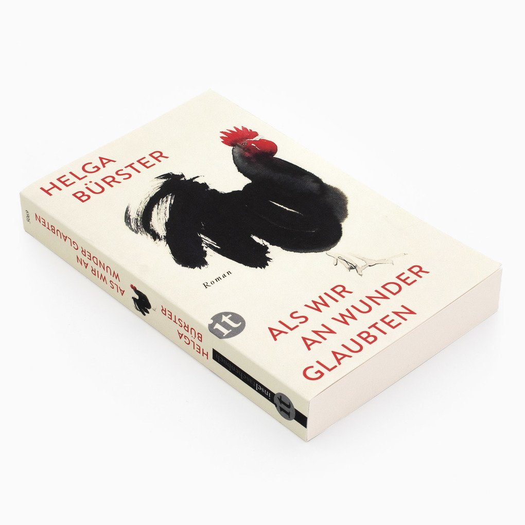 Weitere Ansicht: Als wir an Wunder glaubten | Helga Bürster