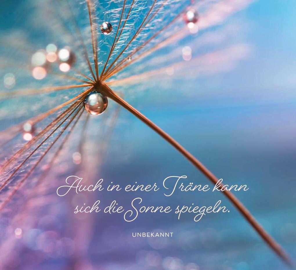 Weitere Ansicht: Lichtblicke für jeden Tag