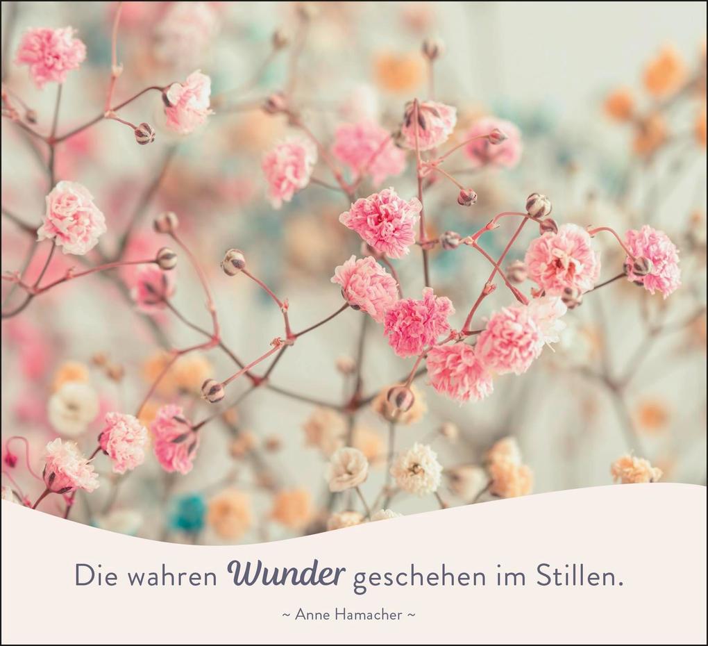 Weitere Ansicht: In der Stille blüht die Kraft