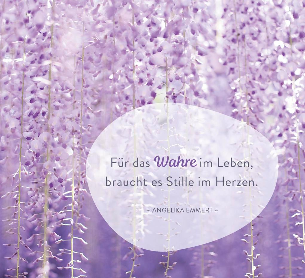 Weitere Ansicht: In der Stille blüht die Kraft