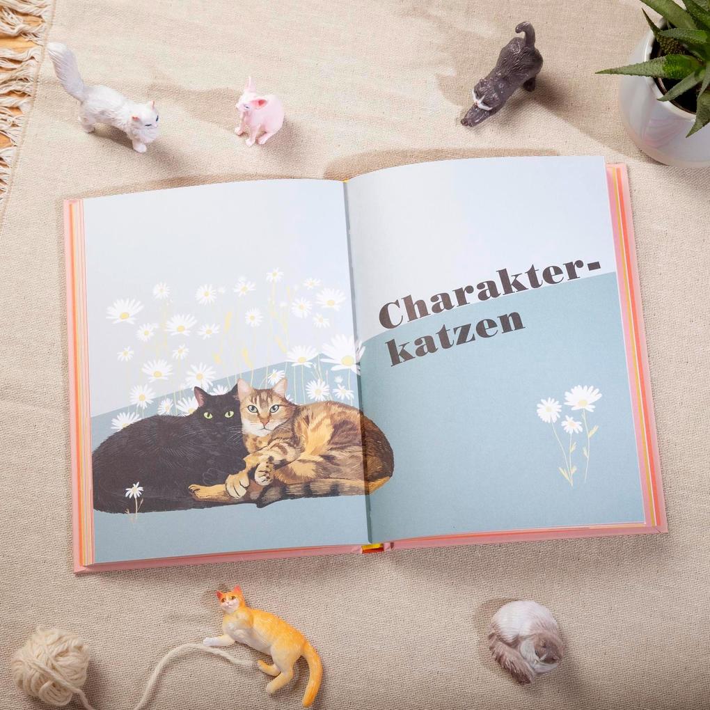 Weitere Ansicht: Miau - Wie gut kennst du deine Katze? | Alison Davies