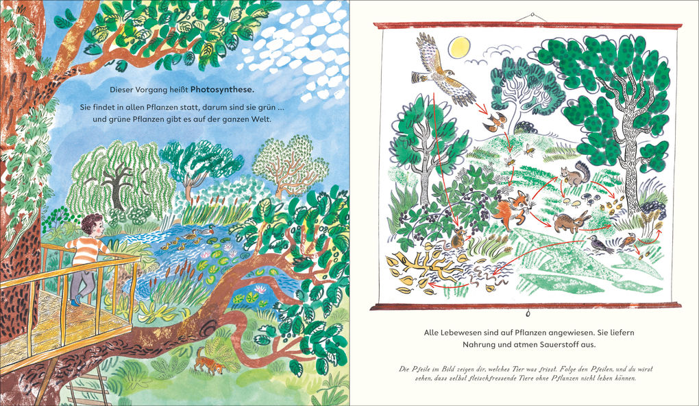 Weitere Ansicht: Grün | Nicola Davies, Emily Sutton