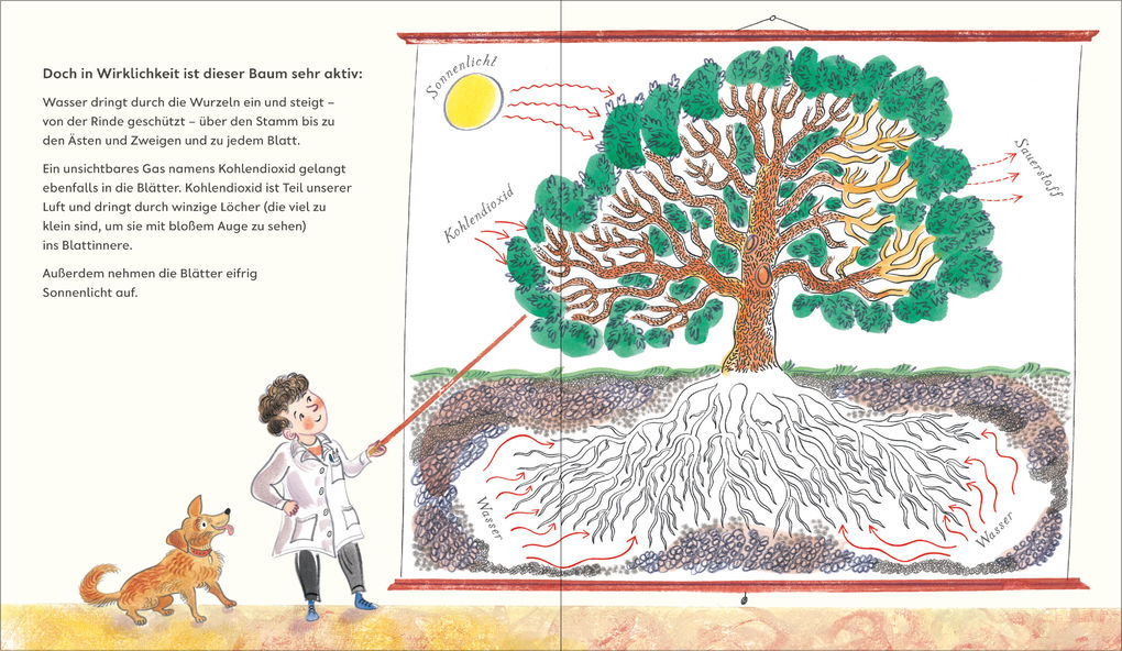 Weitere Ansicht: Grün | Nicola Davies, Emily Sutton