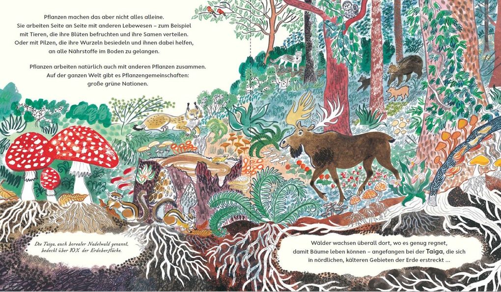 Weitere Ansicht: Grün | Nicola Davies, Emily Sutton