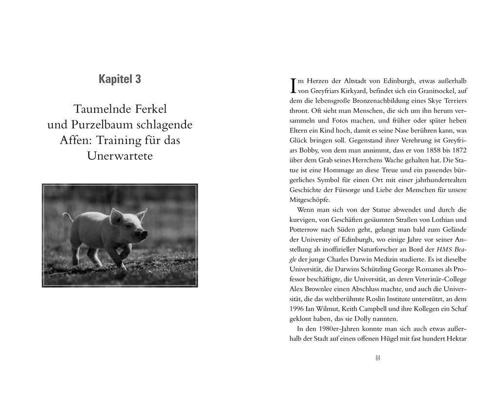 Weitere Ansicht: Das faszinierende Spiel der Tiere | David Toomey