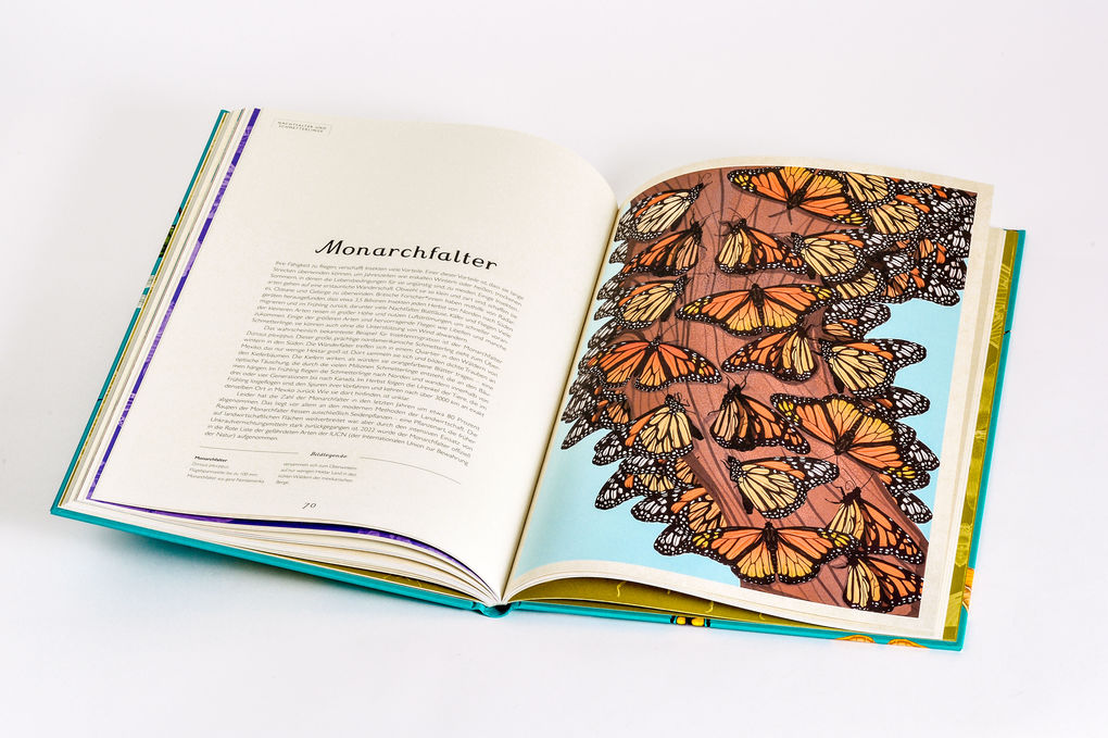 Weitere Ansicht: Das Museum der Insekten | Dave Goulson, Emily Carter
