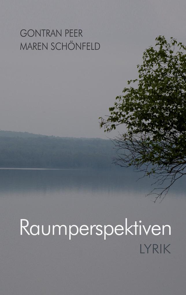 Produktbild: Raumperspektiven | Gontran Peer und Maren Schönfeld