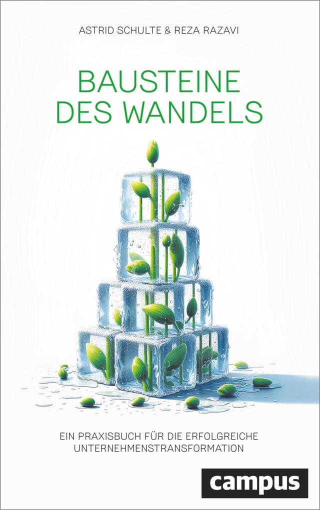 Produktbild: Bausteine des Wandels | Astrid Schulte, Reza Razavi
