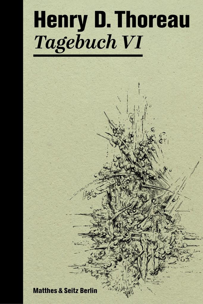 Produktbild: Tagebuch VI | Henry David Thoreau