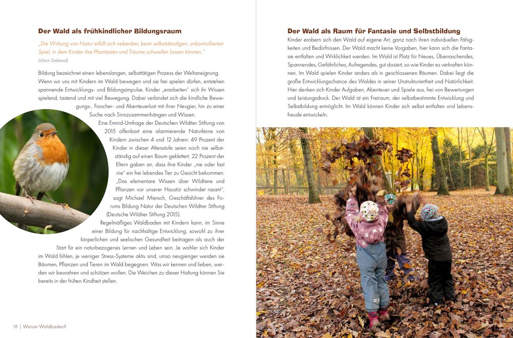Weitere Ansicht: Waldbaden mit Kindern | Regina Bestle-Körfer