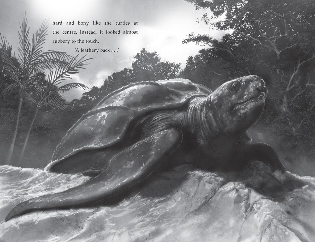 Weitere Ansicht: TURTLE MOON HB | Hannah Gold