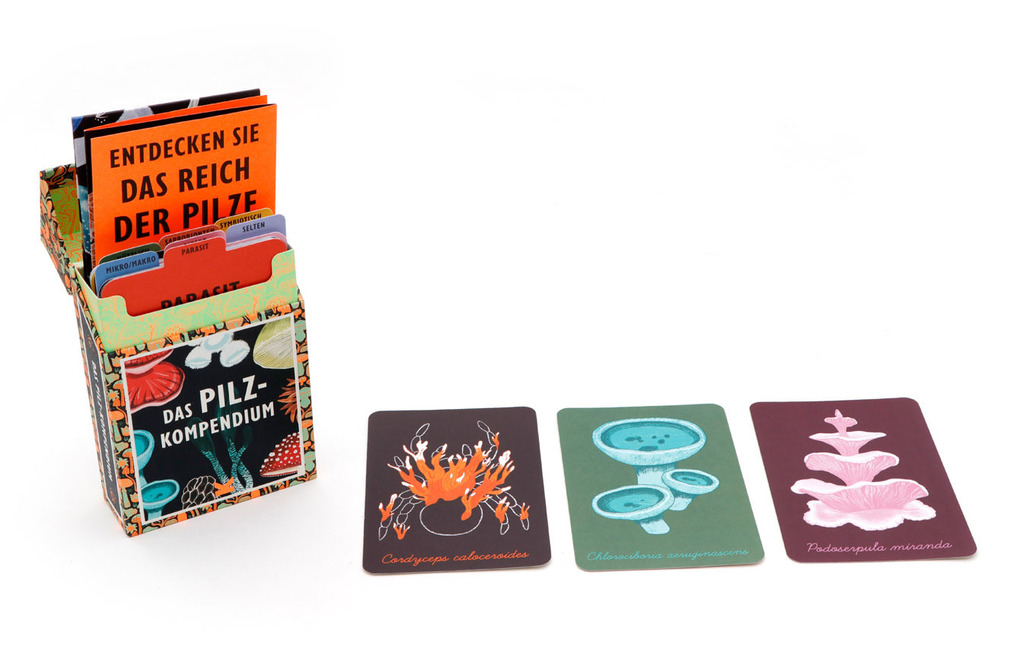 Weitere Ansicht: Das Pilz-Kompendium | Lee Davies