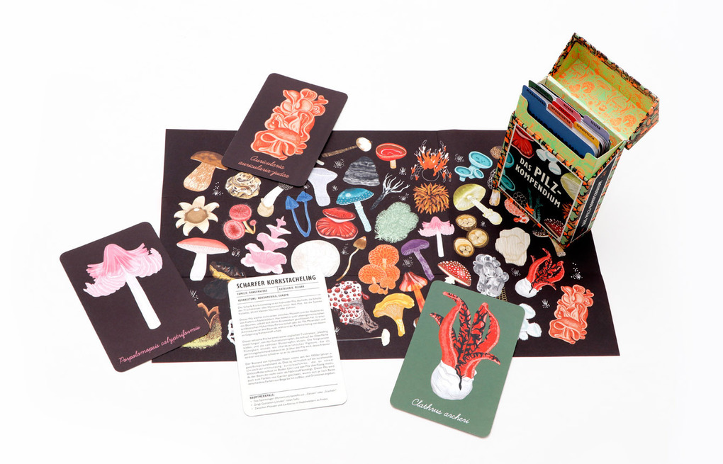 Weitere Ansicht: Das Pilz-Kompendium | Lee Davies