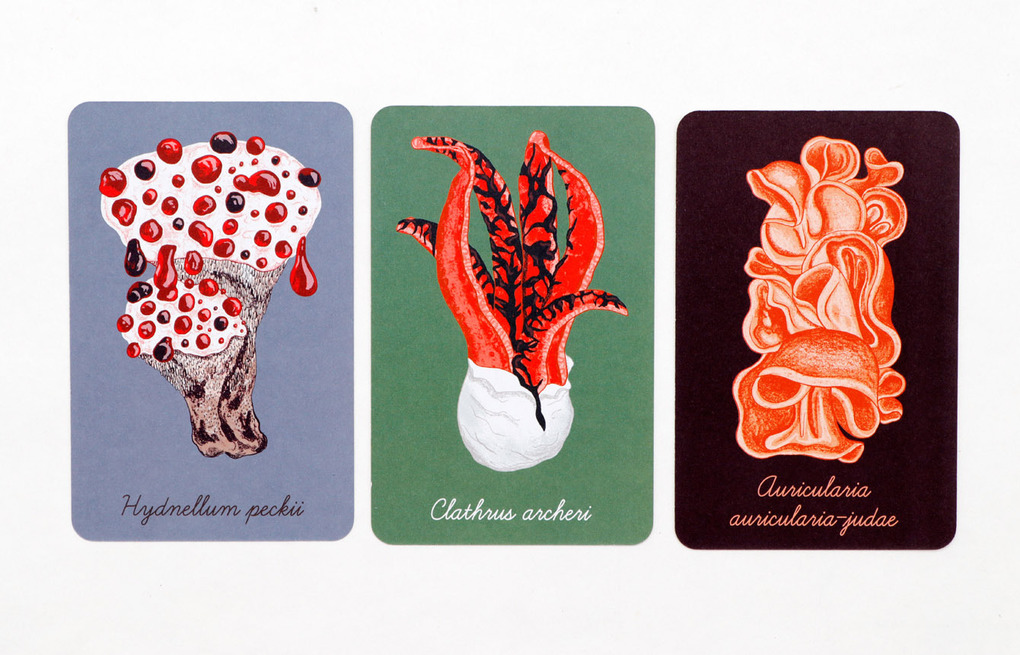 Weitere Ansicht: Das Pilz-Kompendium | Lee Davies