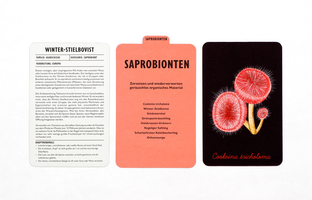 Weitere Ansicht: Das Pilz-Kompendium | Lee Davies