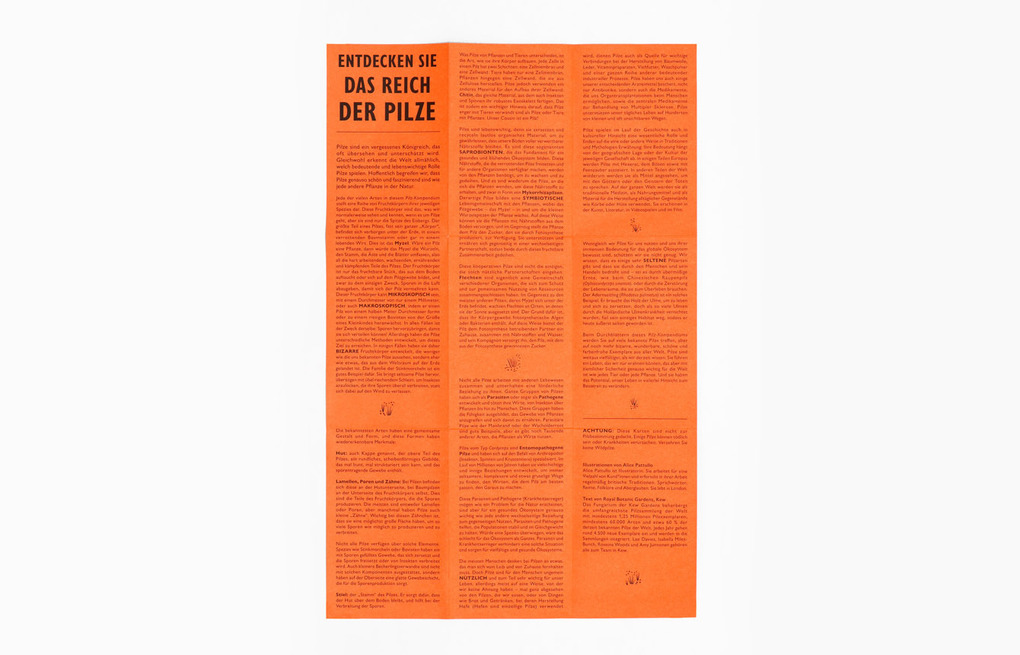 Weitere Ansicht: Das Pilz-Kompendium | Lee Davies