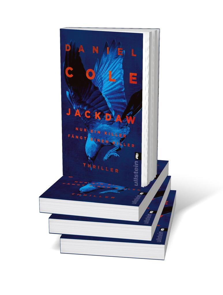 Weitere Ansicht: Jackdaw | Daniel Cole