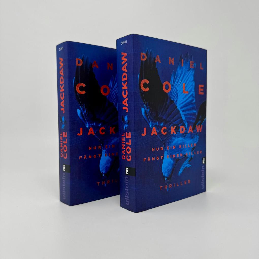 Weitere Ansicht: Jackdaw | Daniel Cole