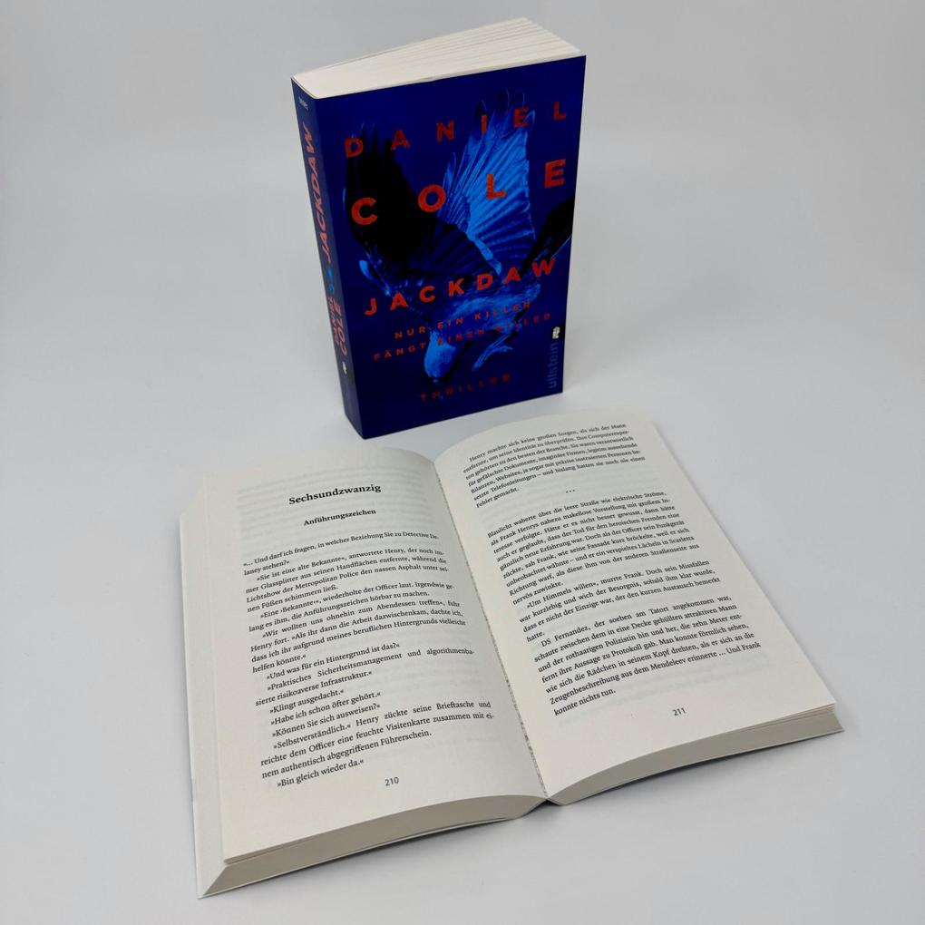 Weitere Ansicht: Jackdaw | Daniel Cole