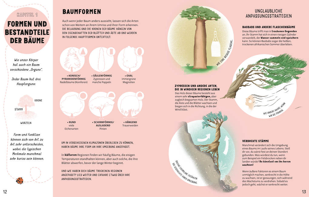 Weitere Ansicht: Das Geheimnis der Bäume. Ein Naturbilderbuch | Massimo Domenico Novellino