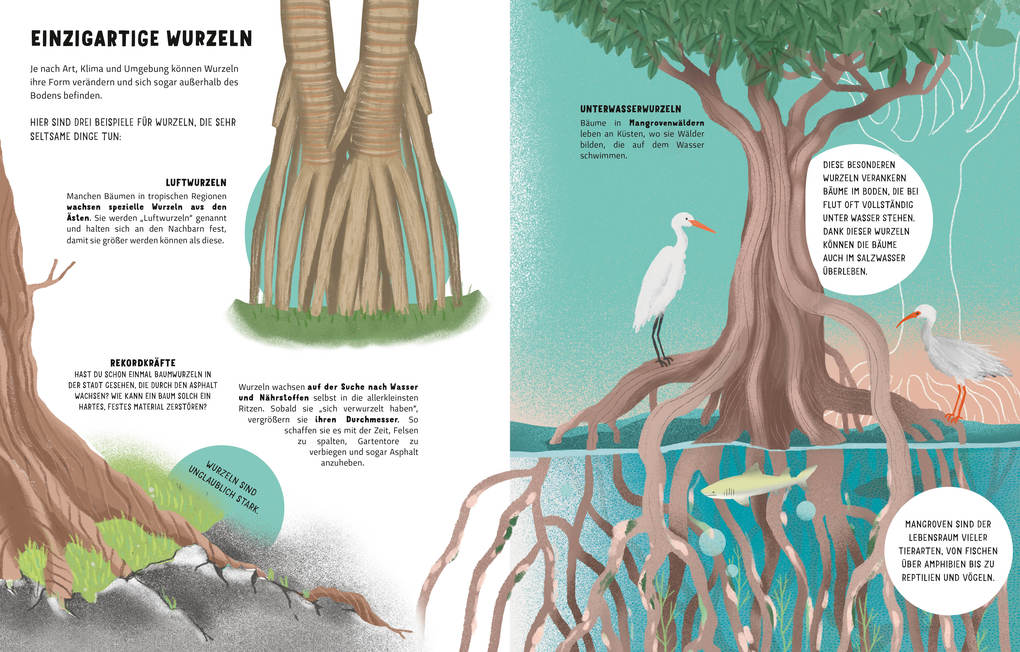 Weitere Ansicht: Das Geheimnis der Bäume. Ein Naturbilderbuch | Massimo Domenico Novellino