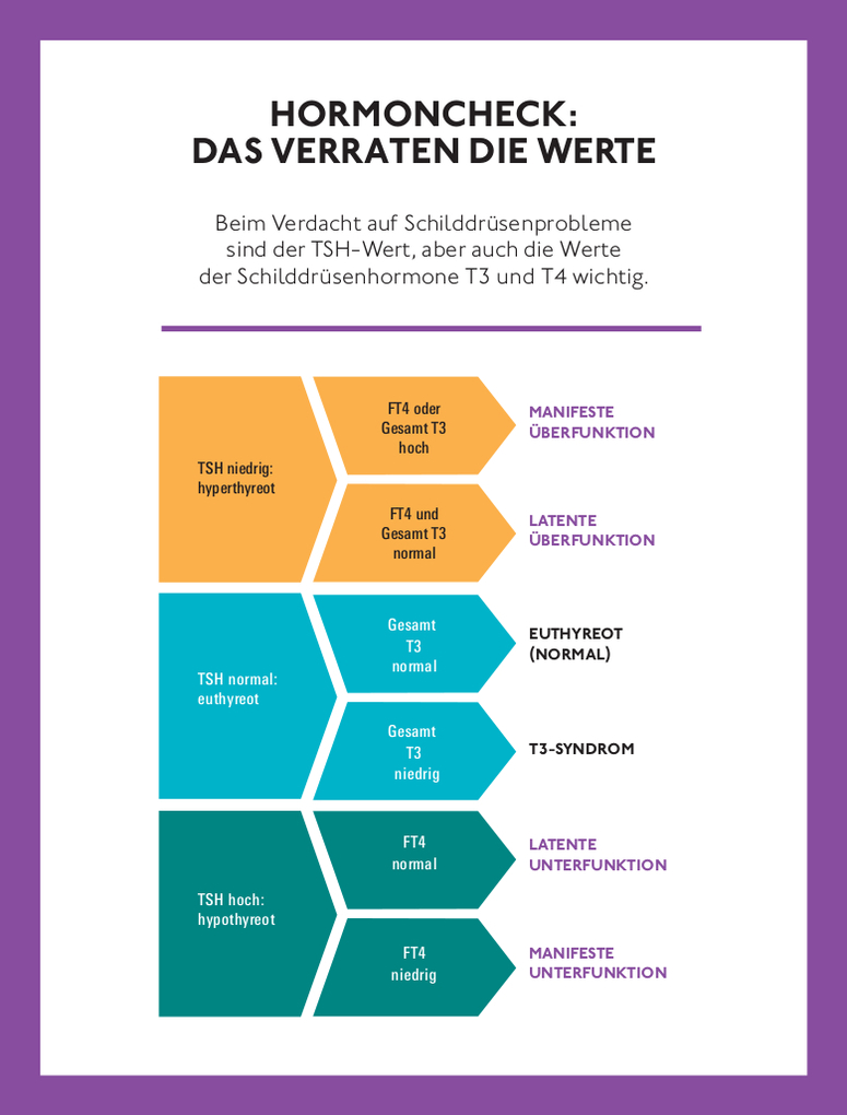 Weitere Ansicht: Schilddrüse schonend behandeln | Henning Dralle