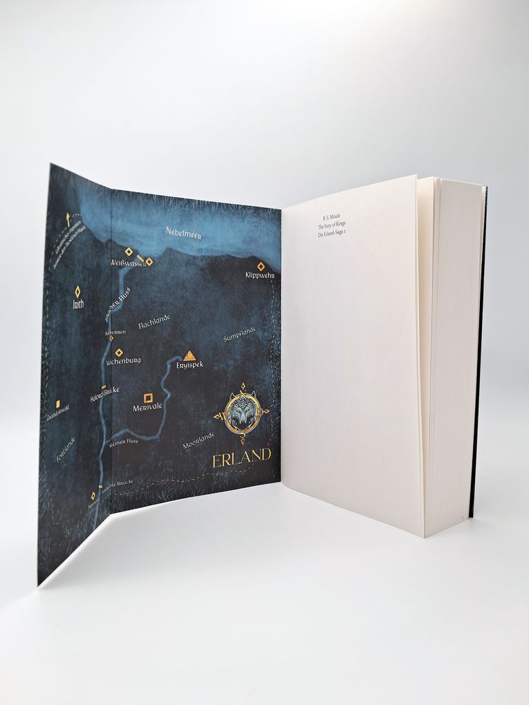 Weitere Ansicht: The Fury of Kings | R.S. Moule