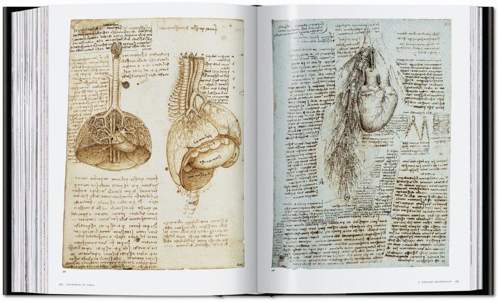 Weitere Ansicht: Leonardo. Sämtliche Gemälde und Zeichnungen | Frank Zöllner, Johannes Nathan