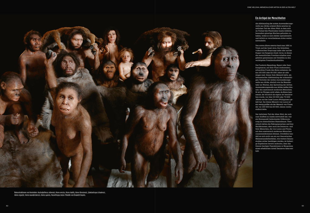 Weitere Ansicht: Homo sapiens | Telmo Pievani, Valéry Zeitoun