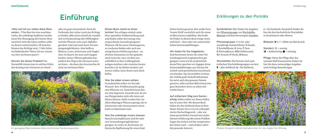 Weitere Ansicht: Quickfinder Welche Pflanze passt wohin? | Thomas Hagen