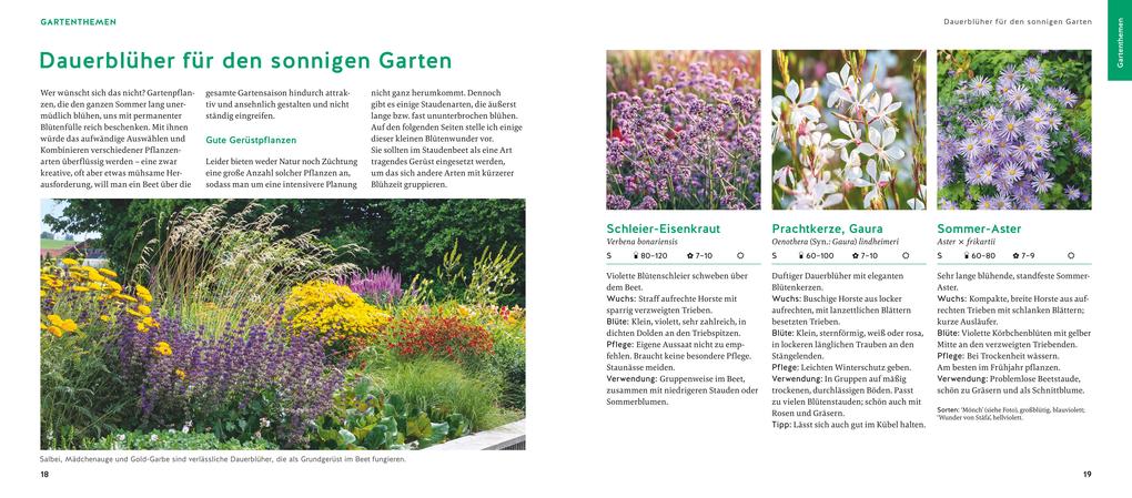 Weitere Ansicht: Quickfinder Welche Pflanze passt wohin? | Thomas Hagen