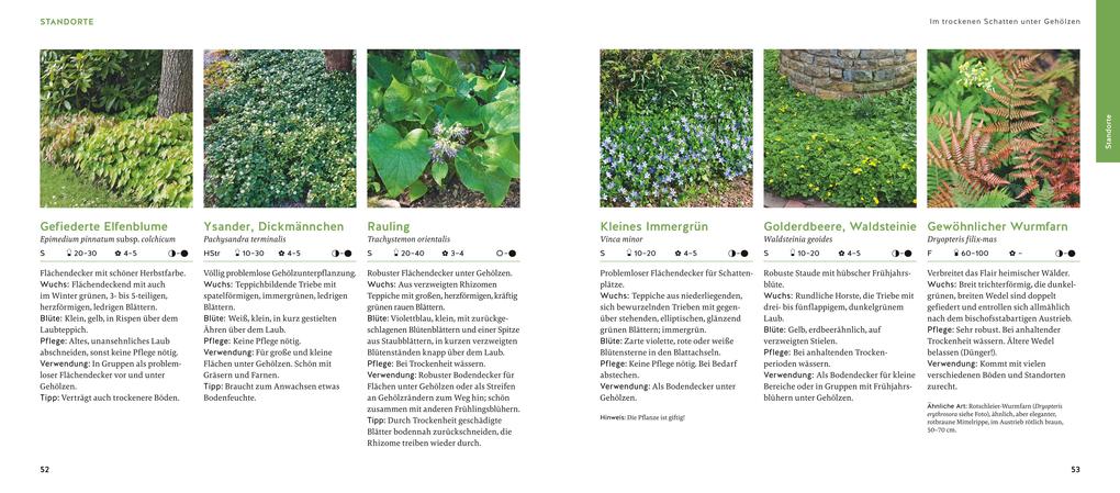 Weitere Ansicht: Quickfinder Welche Pflanze passt wohin? | Thomas Hagen