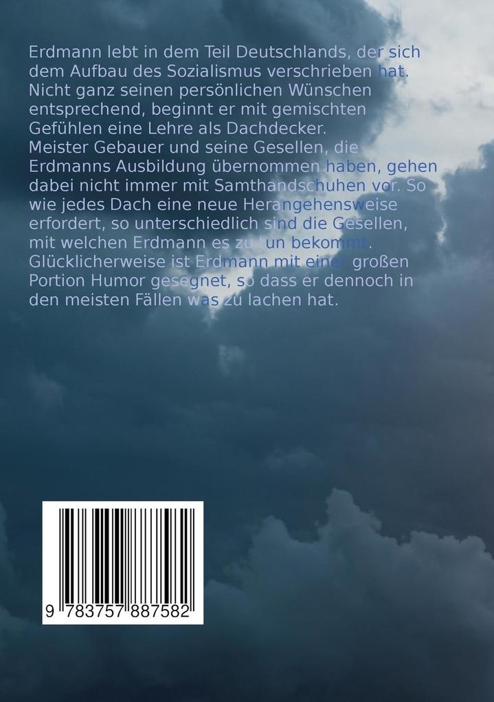 Weitere Ansicht: Kein Wetter für Dachdecker und kleine Gänschen | Erdmann Gilbeau