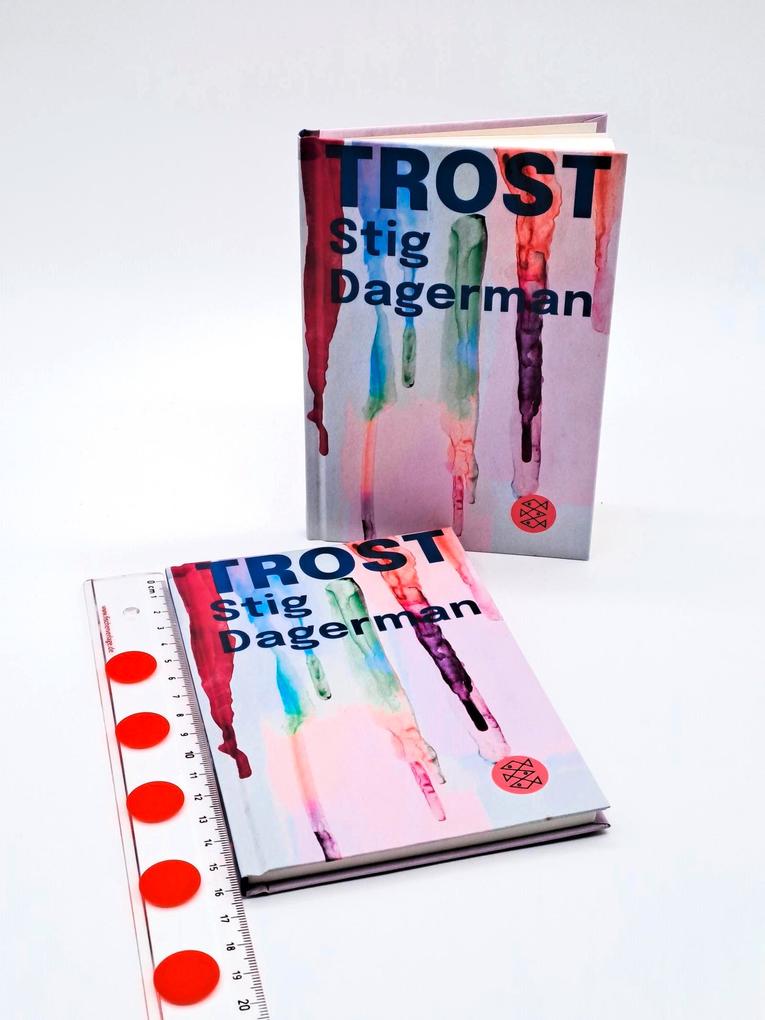 Weitere Ansicht: Trost | Stig Dagerman