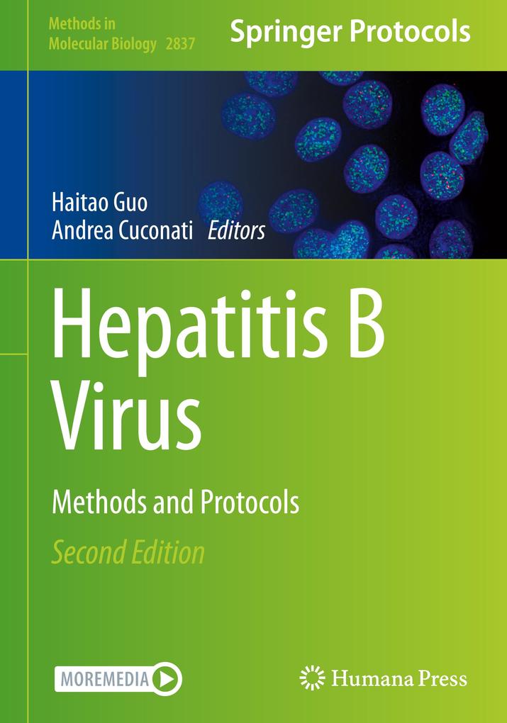 Produktbild: Hepatitis B Virus